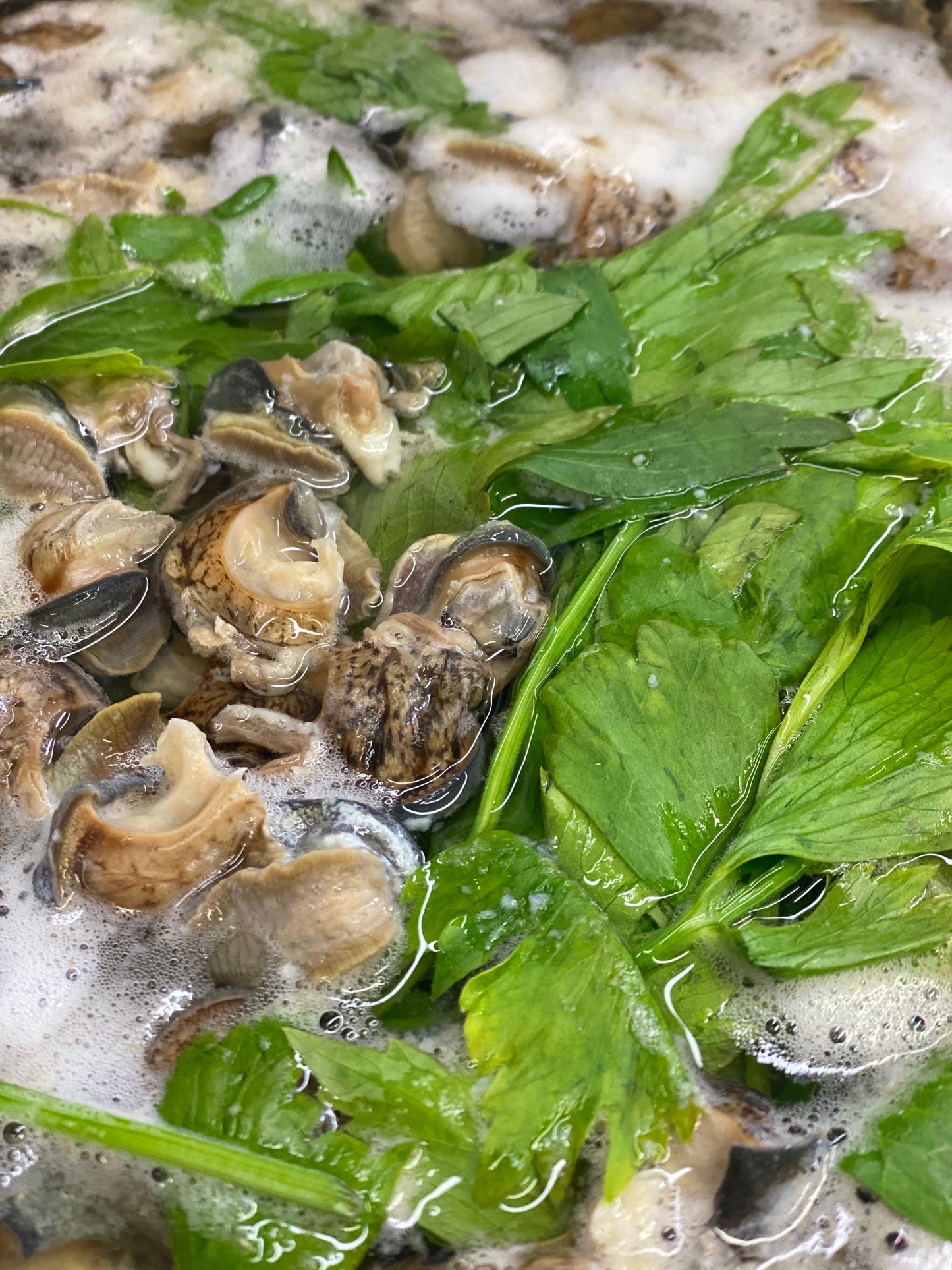 Weinbergschnecke