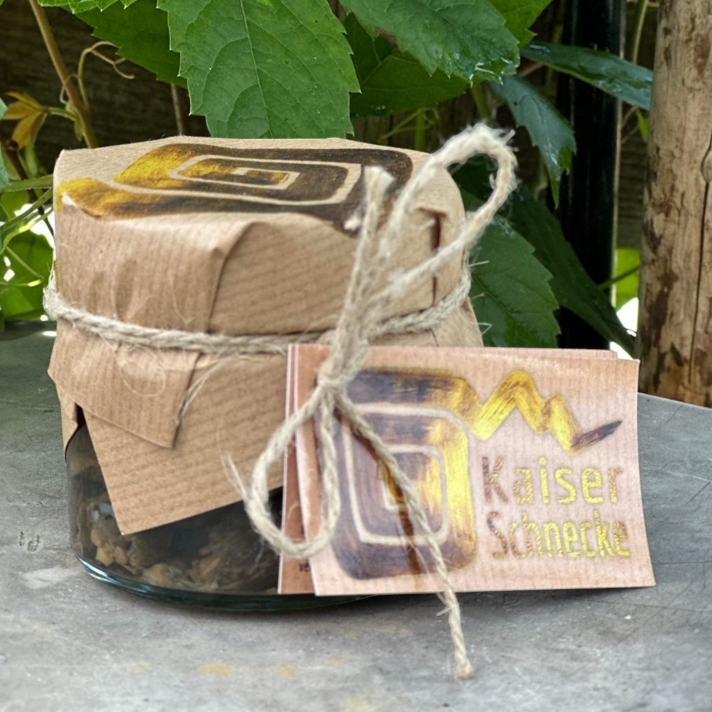 Weinbergschnecken im Fond - 24 Stück