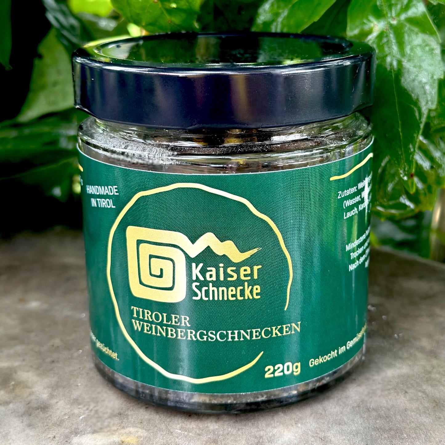Weinbergschnecke