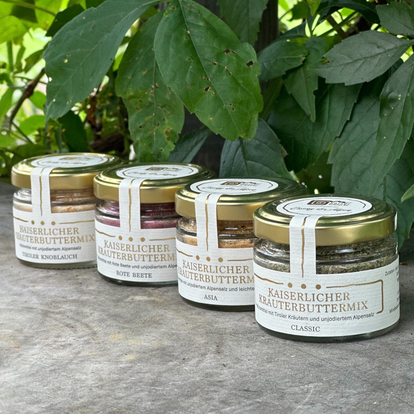 Gewürzsalz Probierset für Kräuterbutter