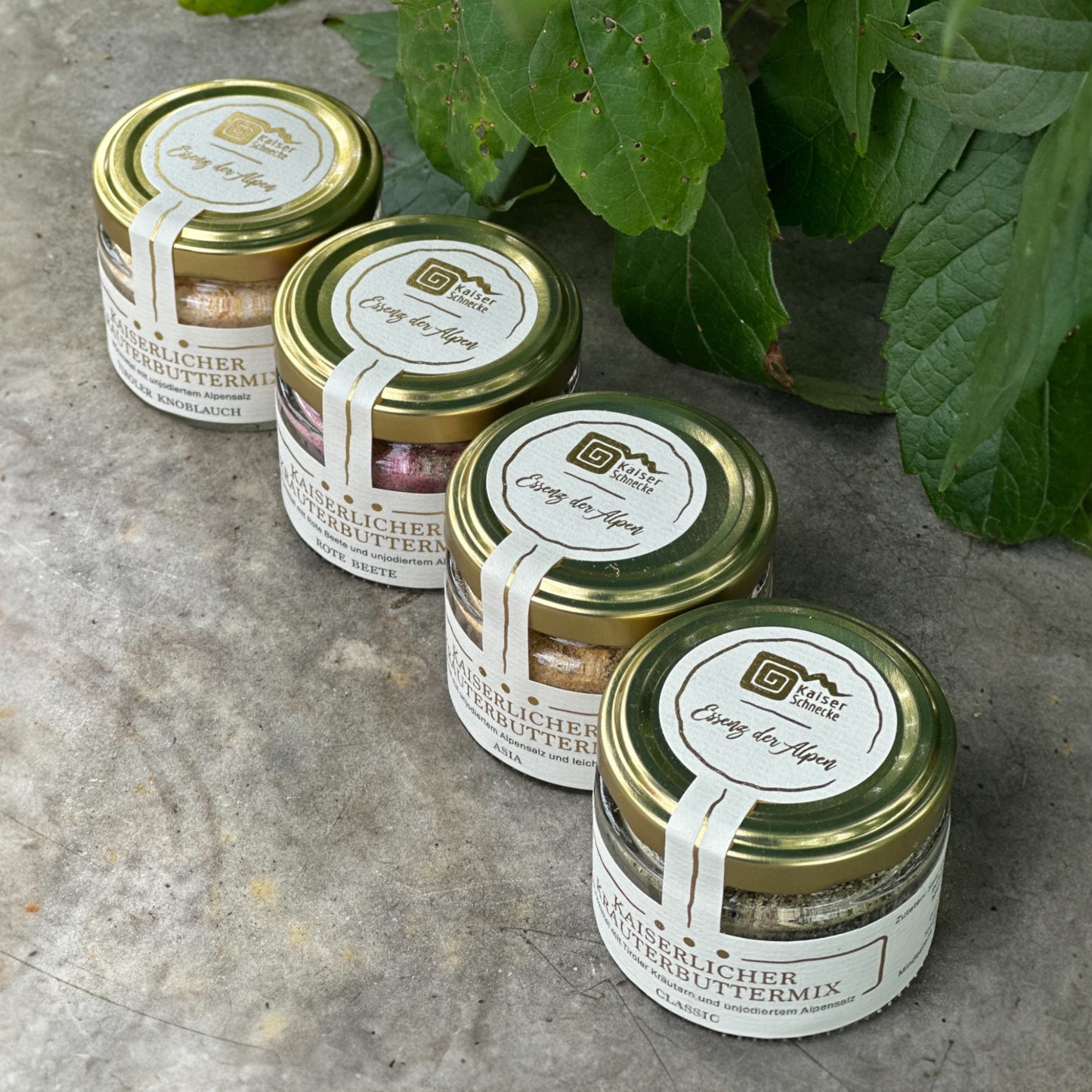 Gewürzsalz Probierset für Kräuterbutter